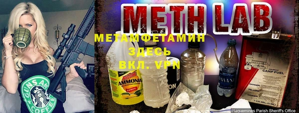 шишки Алексин