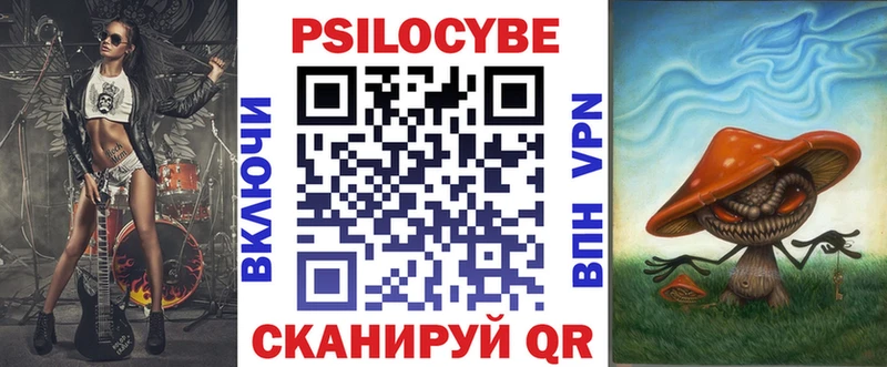 hydra   Гдов  Галлюциногенные грибы мицелий 